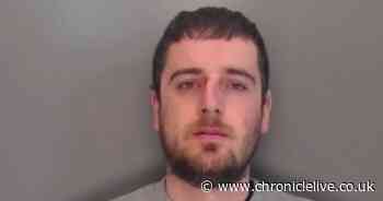 Deported Albanian cannabis farmer jailed again after entering UK illegally for second time in lorry