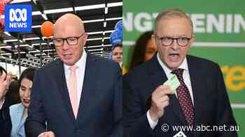 Labor to ask Fair Work for 'sustainable real wage increase' for award workers