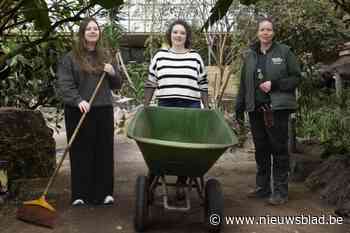 Leerlingen die zich misdroegen tijdens uitstap in dierentuin, helpen als straf in Pakawi Park: “Nu zien we wel in dat ons gedrag niet door de beugel kon”