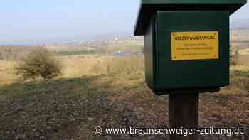 Geheimtipp: Diese entspannte Wanderung im Harz kennen nur Wenige