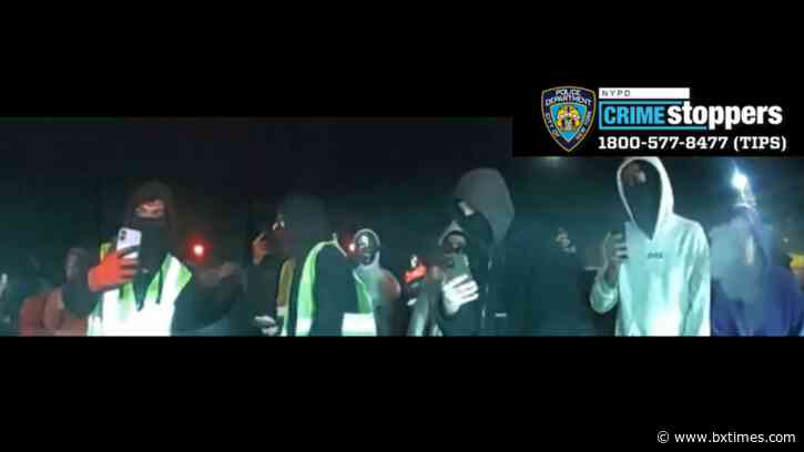 Queens teen tased and arrested in Bronx after fleeing chaotic NYPD vehicle vandalism in Ozone Park