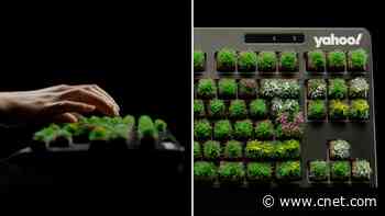 April Fools' Day 2025 Pranks: Grass Keyboard, Catnip Car Seats, 5-Year World Cruise