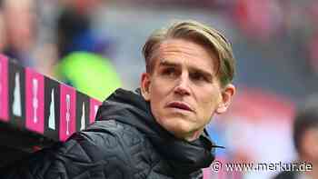 Verstärkung für die Außenbahn? Bayern beschäftigt sich wohl mit Ligue-1-Angreifer