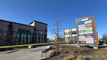 Man dead after being shot in vehicle in busy Brampton plaza, police say