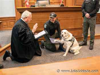 New Metroparks Toledo ranger 'lights up the room'