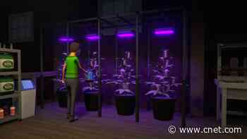 What's the Deal With Schedule I, the Drug-Dealing Game at the Top of Steam Charts?