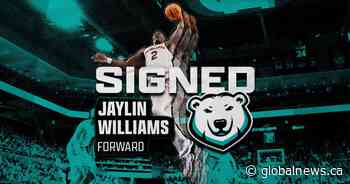 Winnipeg Sea Bears add NBA G Leaguer