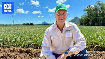 Treated effluent water to grow crops, saving rivers and oceans