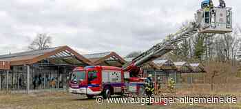 Feuer in ehemaliger Gärtnerei: Polizei ermittelt wegen Brandstiftung