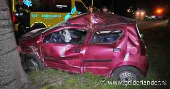 Vrouw rijdt dronken tegen boom en lantaarnpaal, rijbewijs direct ingenomen