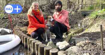 Seelhorster Wald in Hannover: Diesel im Bachlauf gefährdet Tiere und Natur