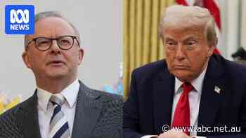 Labor prepares to challenge Trump tariffs at WTO