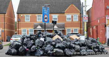 UK city becoming 'third world' as bin strike sparks complete chaos