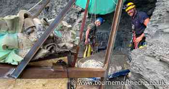 Rescue of giant sea monster in Dorset receives significant cash boost