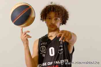 Versterking uit Kortrijk en Limburg voor Avanti Brugge