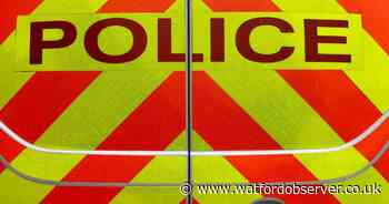 Watford teenager admits threatening man with machete in public