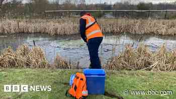 Cyanide-contaminated canal to be dredged