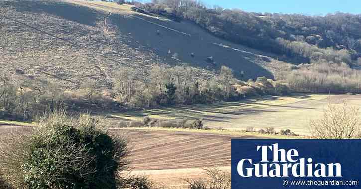 Country diary: At this time of year, the landscape is as pale as it gets | Nicola Chester