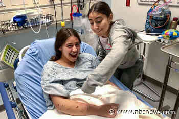 'Please don’t kill me': 15-year-old girl attacked by sea lion in Southern California