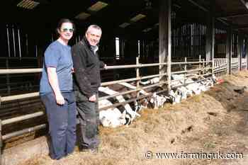 Couple put award-winning goat farming business up for sale