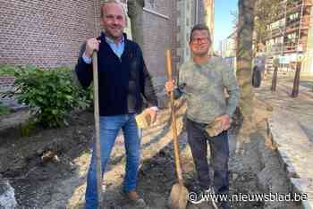 Stad neemt deel aan Vlaams kampioenschap Tegelwippen: “Wie tegels wipt, wordt beloond”