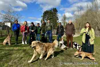 Stad zoekt peters en meters voor hondenlosloopweides