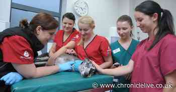 If you have own one of these dog breeds you could give lifesaving help to pets in the North East