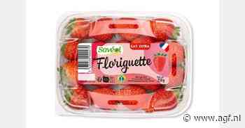 Nieuw aardbeienras Floriguette valt in de smaak