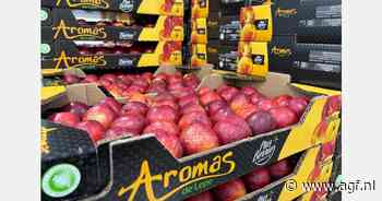 "Nog nooit eerder zo vroeg in het jaar steenfruit"