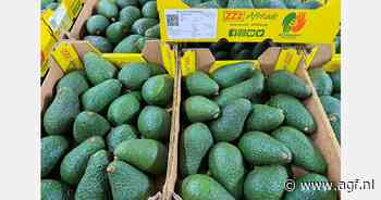 "Vergelijkbaar volume verwacht als vorig jaar, maar met betere kwaliteit"