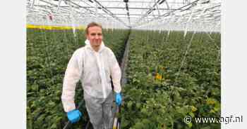 Tuomo Laine test frambozenteelt in donkere Finse winters