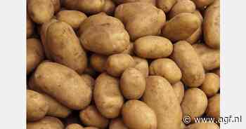 Franse aardappelhandel optimistisch