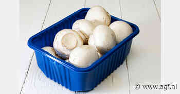 Oekraïense startup maakt verpakkingen uit cannabis en paddenstoelen