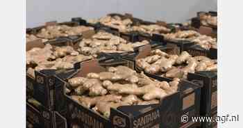 Prijs Braziliaanse gember gedaald