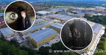 Casting call seeks children for 'huge projects' at Warner Bros. Studios