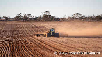 Kurkdroge en zeiknatte start tarwe in Australië