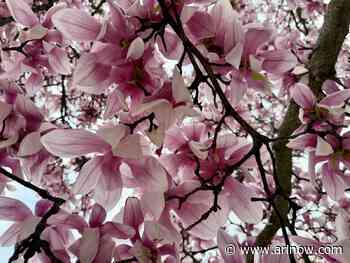 Morning Notes for April 2, 2025