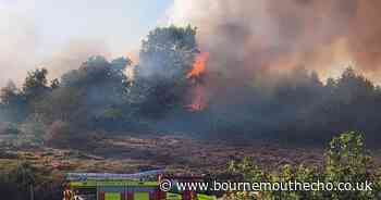 Amber wildfire alert extended for Dorset and Wiltshire
