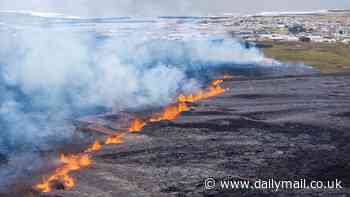 The terrifying sounds that hinted Iceland's volcano was ready to blow: Audio clip reveals the seismic activity in the build up to the eruption