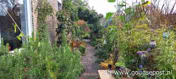 Maand van de groene tuin: maak je tuin groen(er) [Ingezonden mededeling
