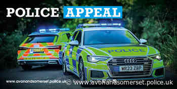 Appeal after man exposes himself in Chard