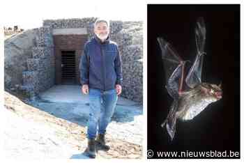 Vleermuisbunker is opvallende kers op de taart van buffergebied aan de haven: “Maar we gebruiken hem niet voor oorlog”