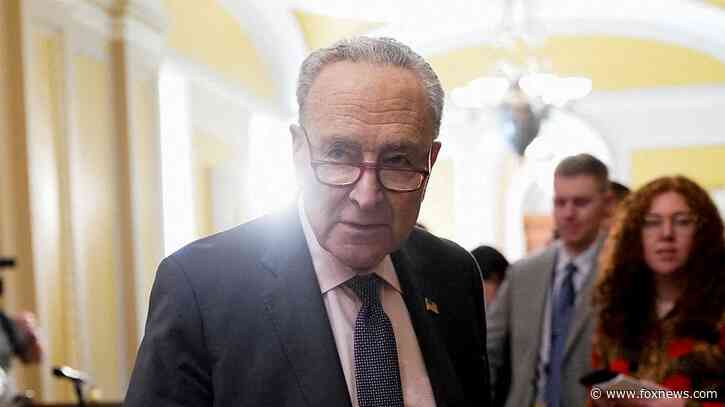 I'm a Democratic strategist with an urgent warning for my fellow Dems