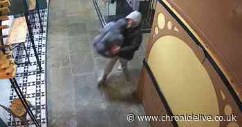 See moment pair break into County Durham indoor market and steal large gorilla ornament