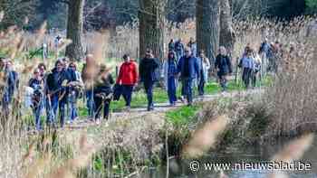 ‘Wijerstrail’ stuurt wandelaars over 110 kilometer door De Wijers: “Je passeert langs fantastische waterlandschappen”