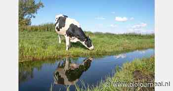 Omschakelen naar biologisch: wat betekent het voor het rendement?