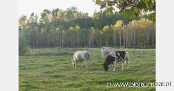 "Grondregulering om Nederland van het slot te halen"