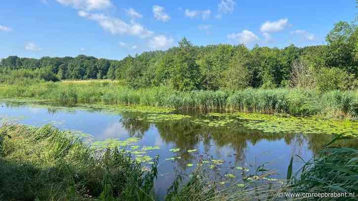 Verbod op beregenen met grondwater na droogste maart ooit