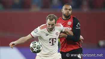 Census+: Das sind die ersten Ergebnisse der neuen Streaming-Messung der AGF