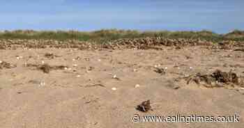 Brits embracing staycation trend, research reveals eight in 10 opt for UK staycation.